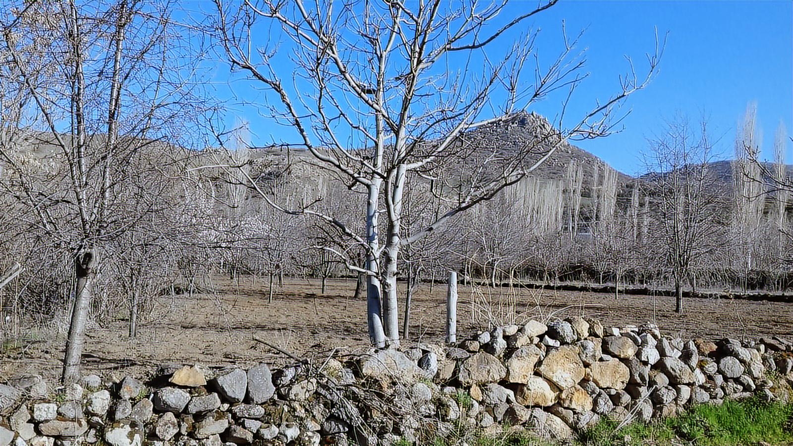 Afyonkarahisar Merkez Akmescit Satılık Arsa Detay Fotoğrafı 3