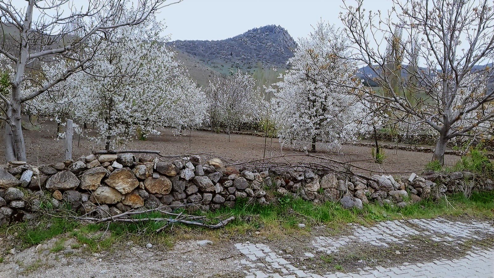 Afyonkarahisar Merkez Akmescit Satılık Arsa Detay Fotoğrafı 5