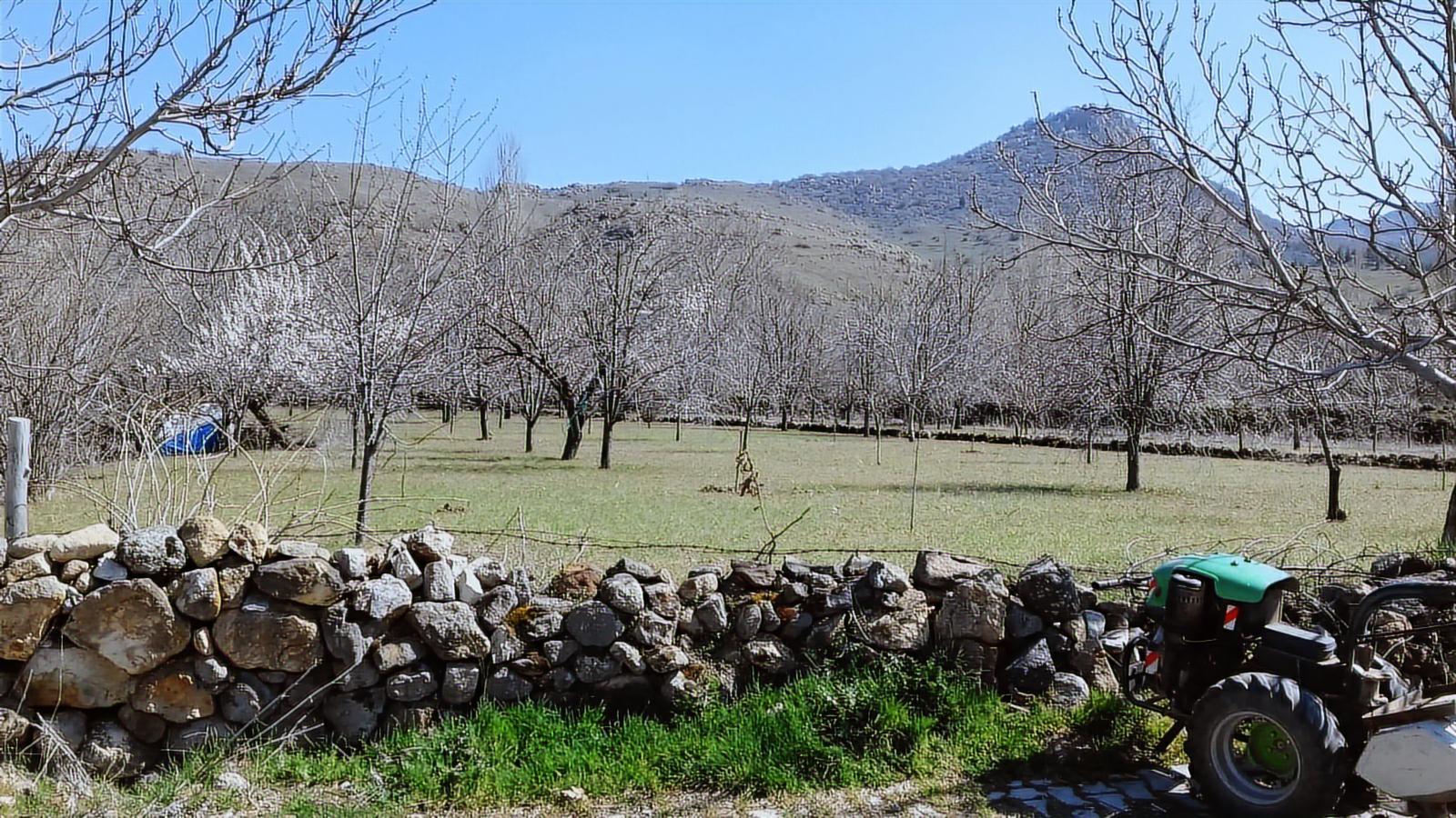 Afyonkarahisar Merkez Akmescit Satılık Arsa Detay Fotoğrafı 2